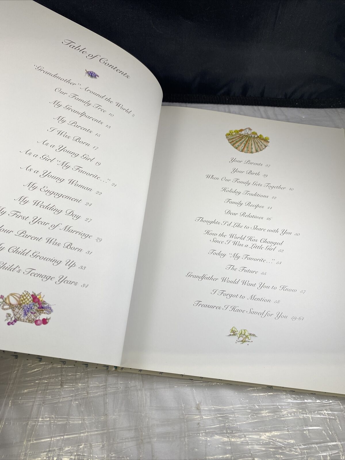 Grandmother's Remembers A Written Heirloom for My Grandchild Hardcover New Clean