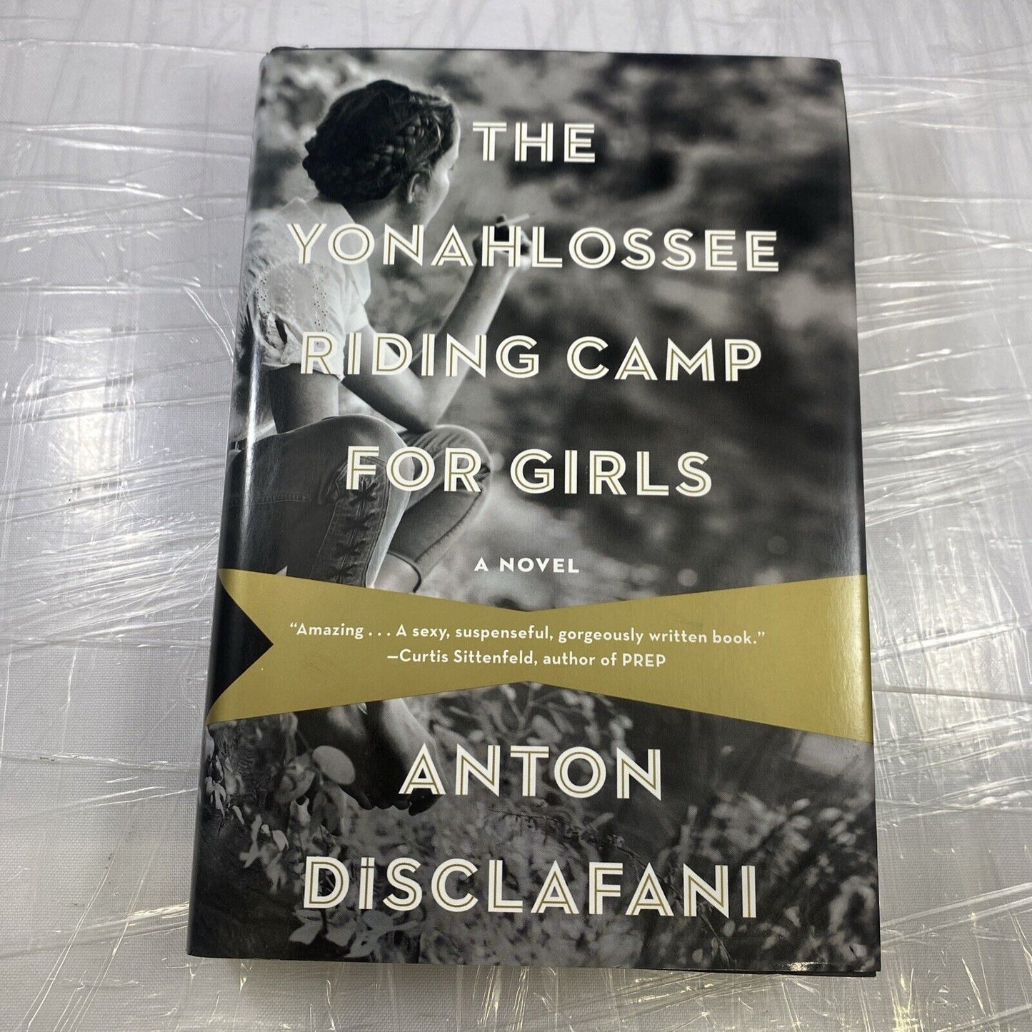 The Yonahlossee Riding Camp for Girls by Anton DiSclafani Sexy Suspense Novel