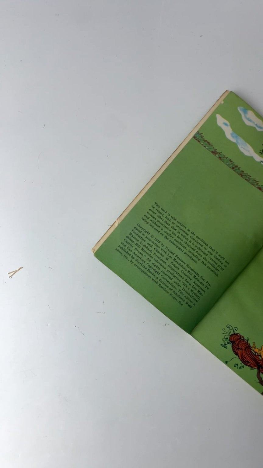 It's a Mystery Charlie Brown Charles M Schulz Scholastic Starline