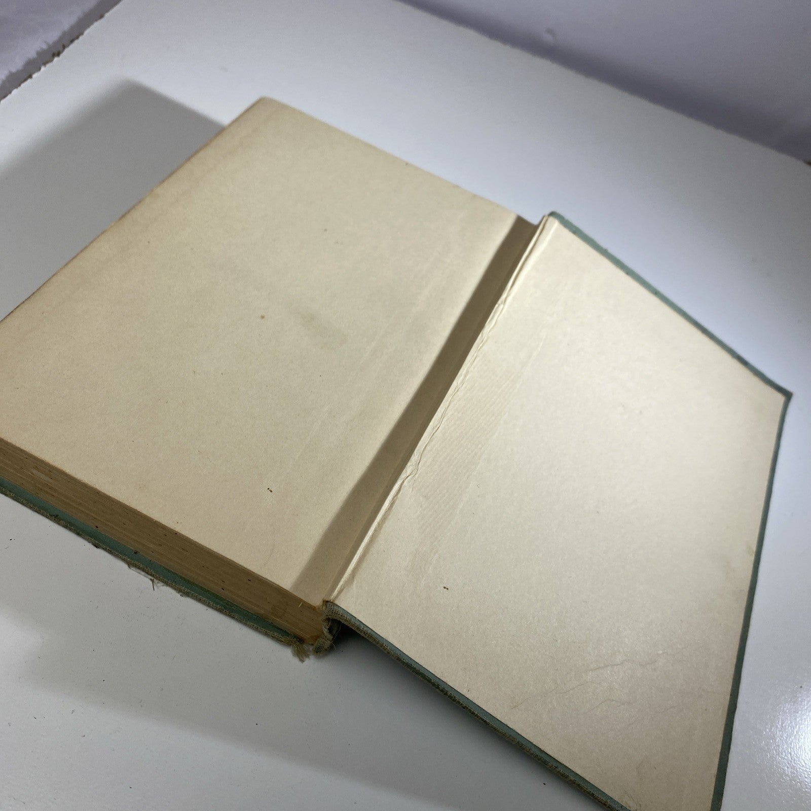 The Reclaimers by Margaret Hill McCarter First Edition 1918 Good Condition