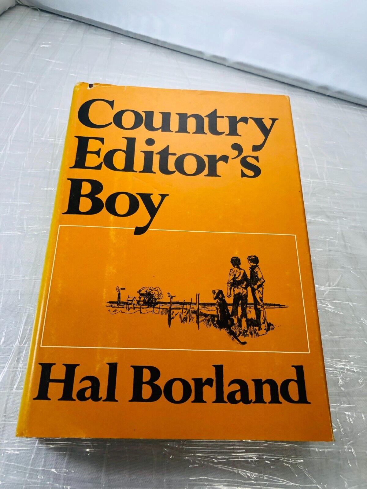 Country editor's boy, Hal Borland fiction historical early 1900's American