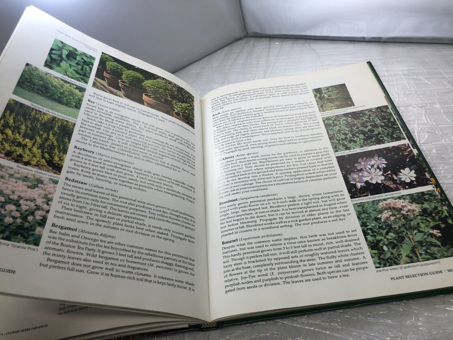 Gardening Herbs and Spices (The American Horticultural Society ILLUSTRATED