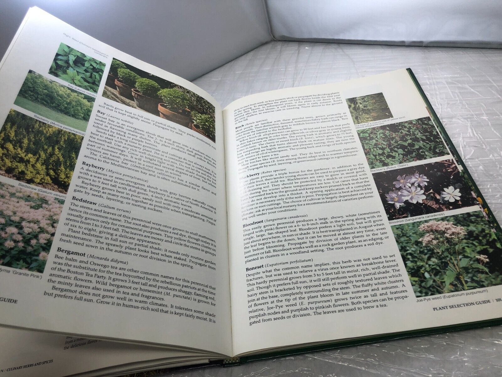 Gardening Herbs and Spices (The American Horticultural Society ILLUSTRATED
