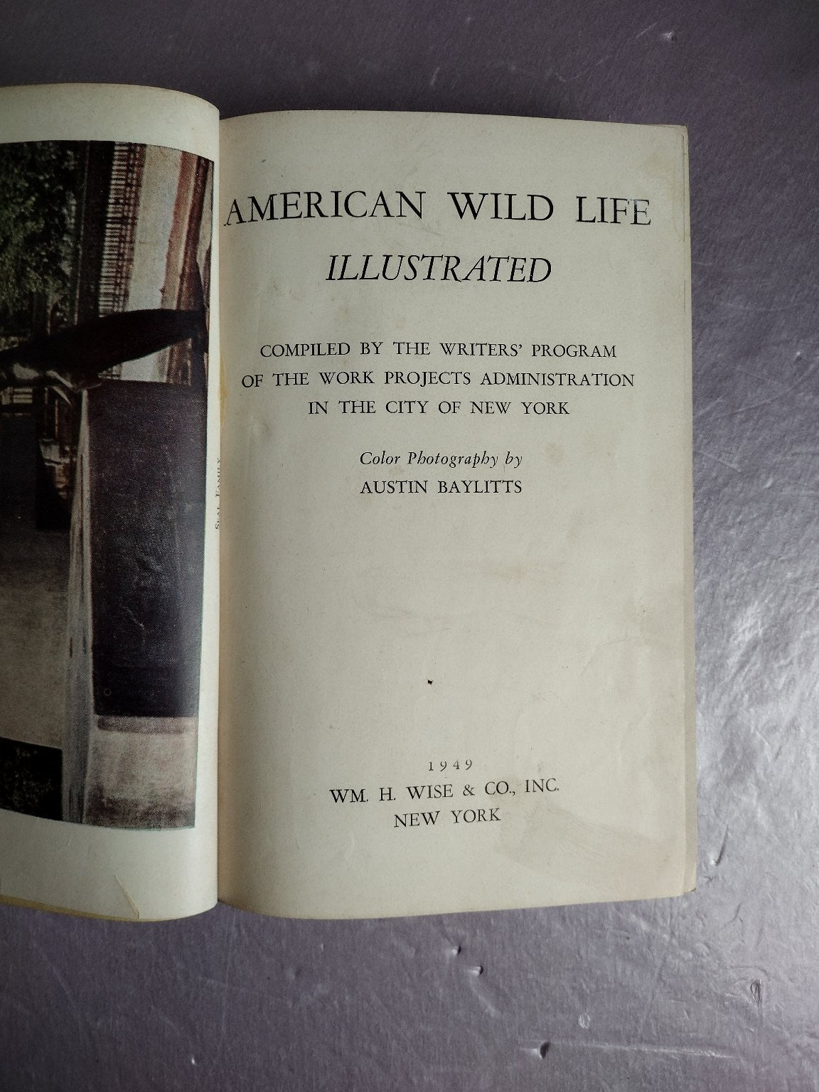 AMERICAN WILD LIFE ILLUSTRATED WPA Writers' Program 1949 Nature Photography Wm H