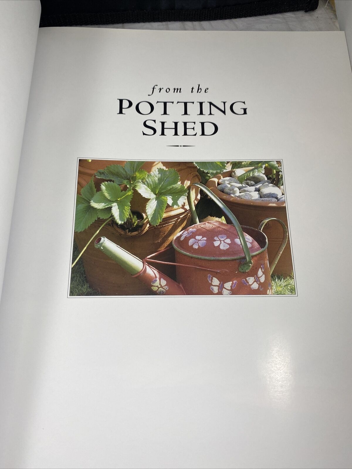 From the Potting Shed by Donaldson, Stephanie Vintage 90s Gardening Picture Book