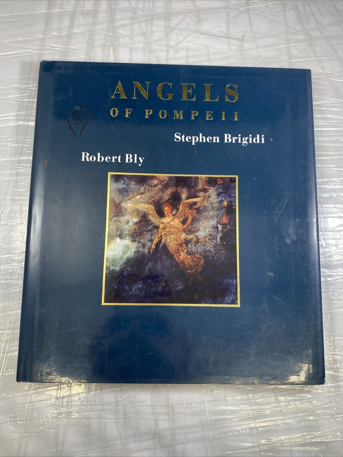 Angels of Pompeii Hardcover Robert, Brigidi, Stephen Bly Vintage Poetry Art Book