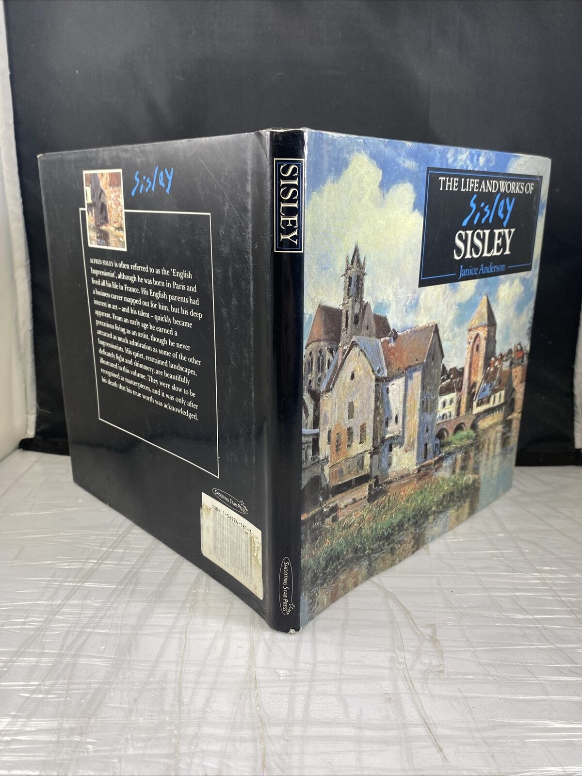 Great 1800s French Italian Artist LIFE AND WORKS OF SISLEY By Janice Anderson