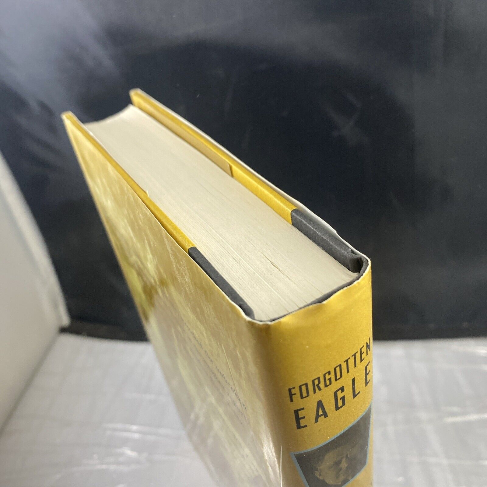 Forgotten Eagle : Wiley Post, America's Heroic Aviation Pioneer History Flying