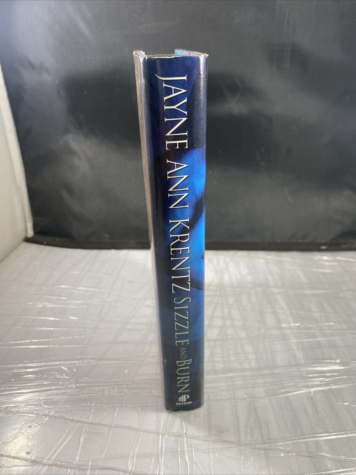 Sizzle and Burn Hardcover Jayne Ann Krentz VERY GOOD UNMARKED