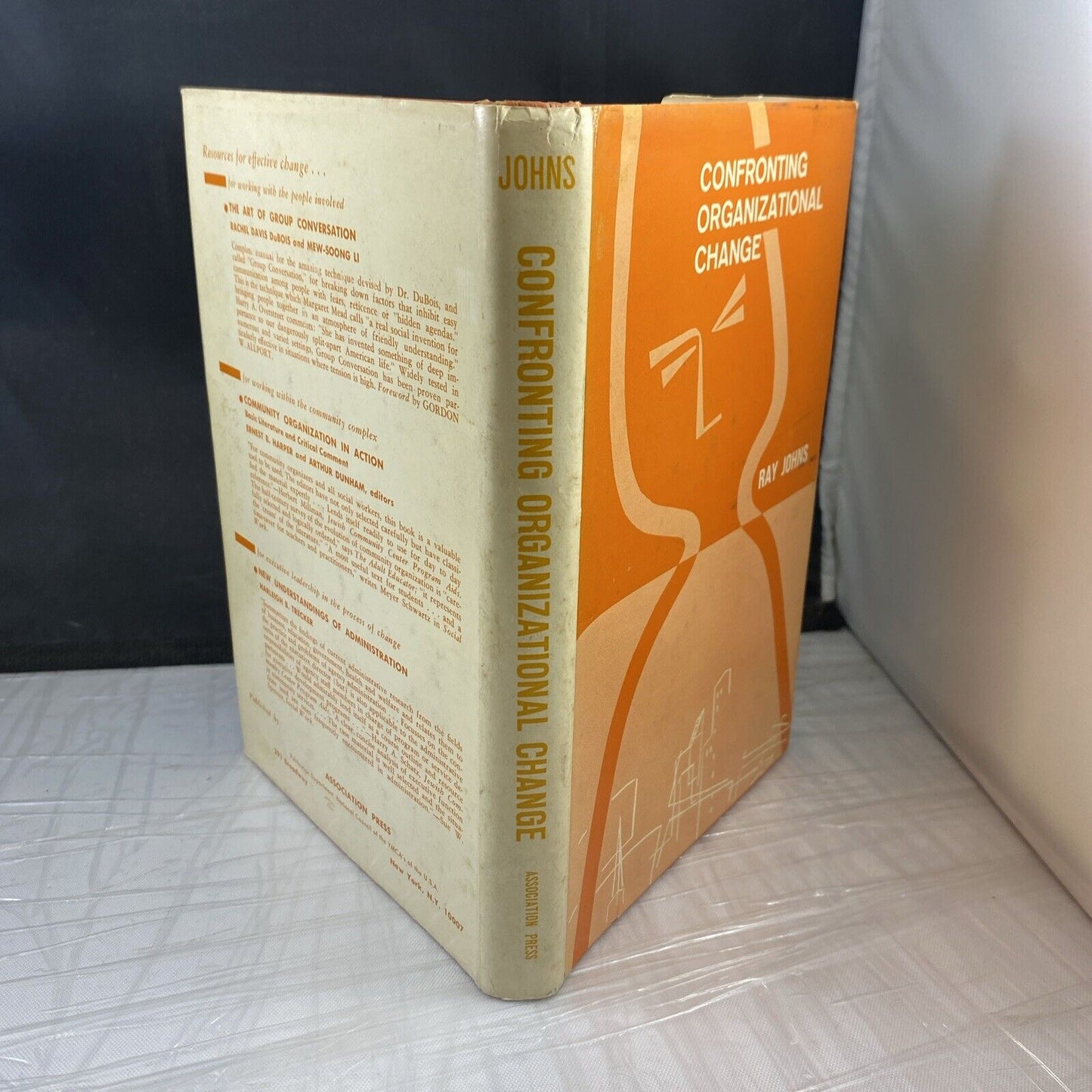 Confronting Organizational Change Ray Johns RARE Business Social Science Studies