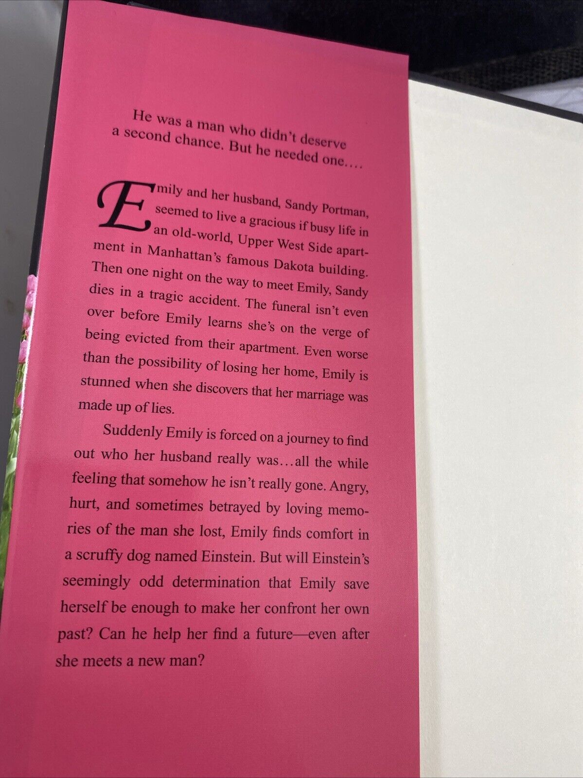 Emily & Einstein: A Novel of Second Ch- 0312382189, Linda Francis Lee, hardcover