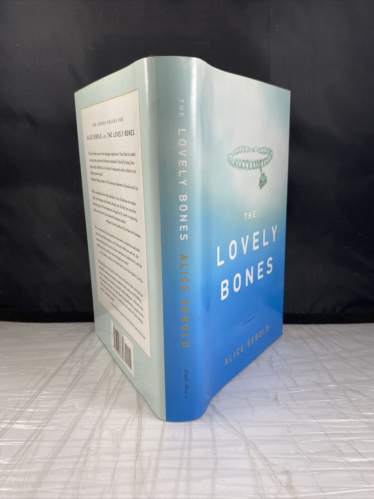 The Lovely Bones by Alice Sebold 2002 Best Seller First Edition First Print