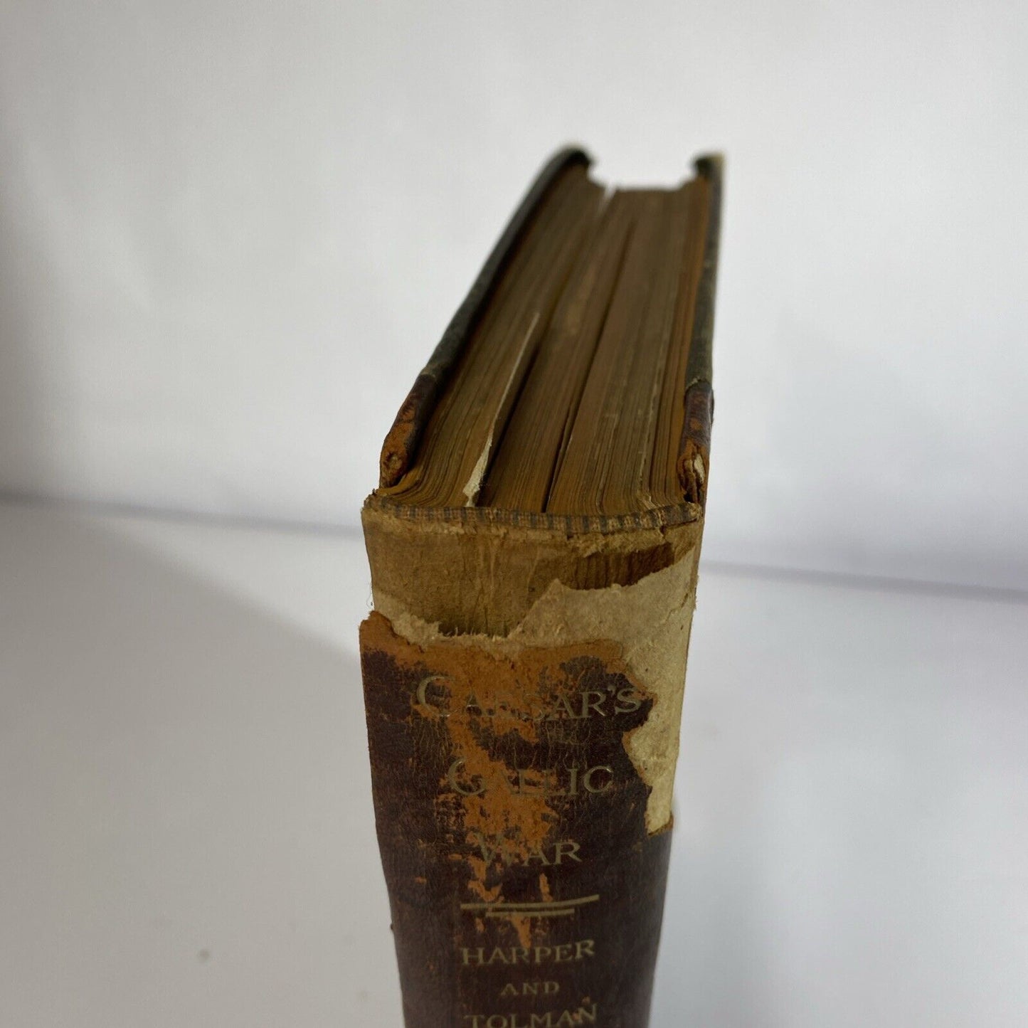 Eight Books of Caesar's Gallic War William Harper Herbert Tolman 1891 Hardcover