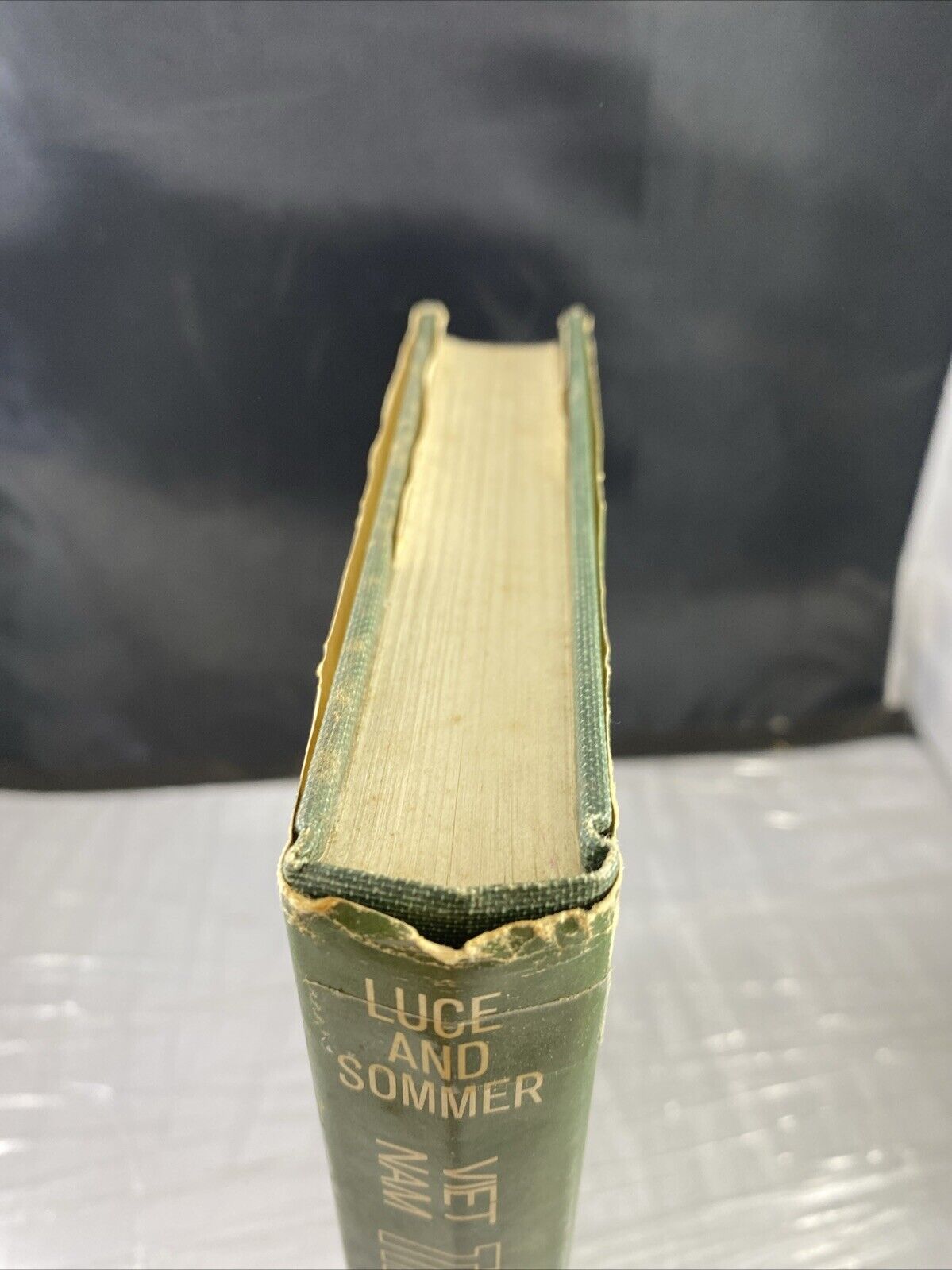 Vietnam : The Unheard Voices by John Sommer and Don Luce (Hardcover) Rare Memoir