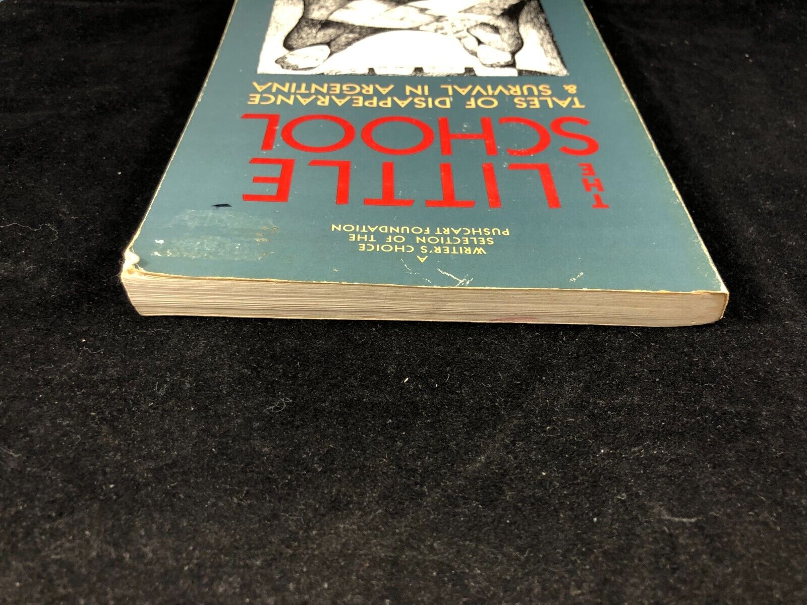 The Little School by Alicia Partnoy (1986) First Edition