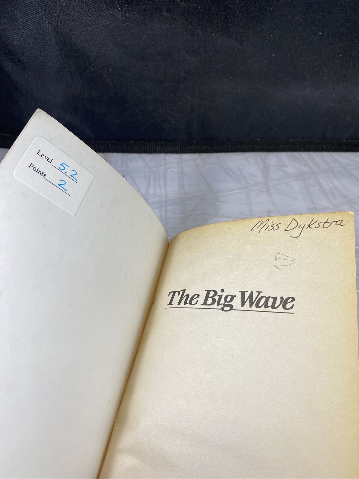 The Big Wave by Pearl S. Buck Vintage 80s Kids Short Chapter Book