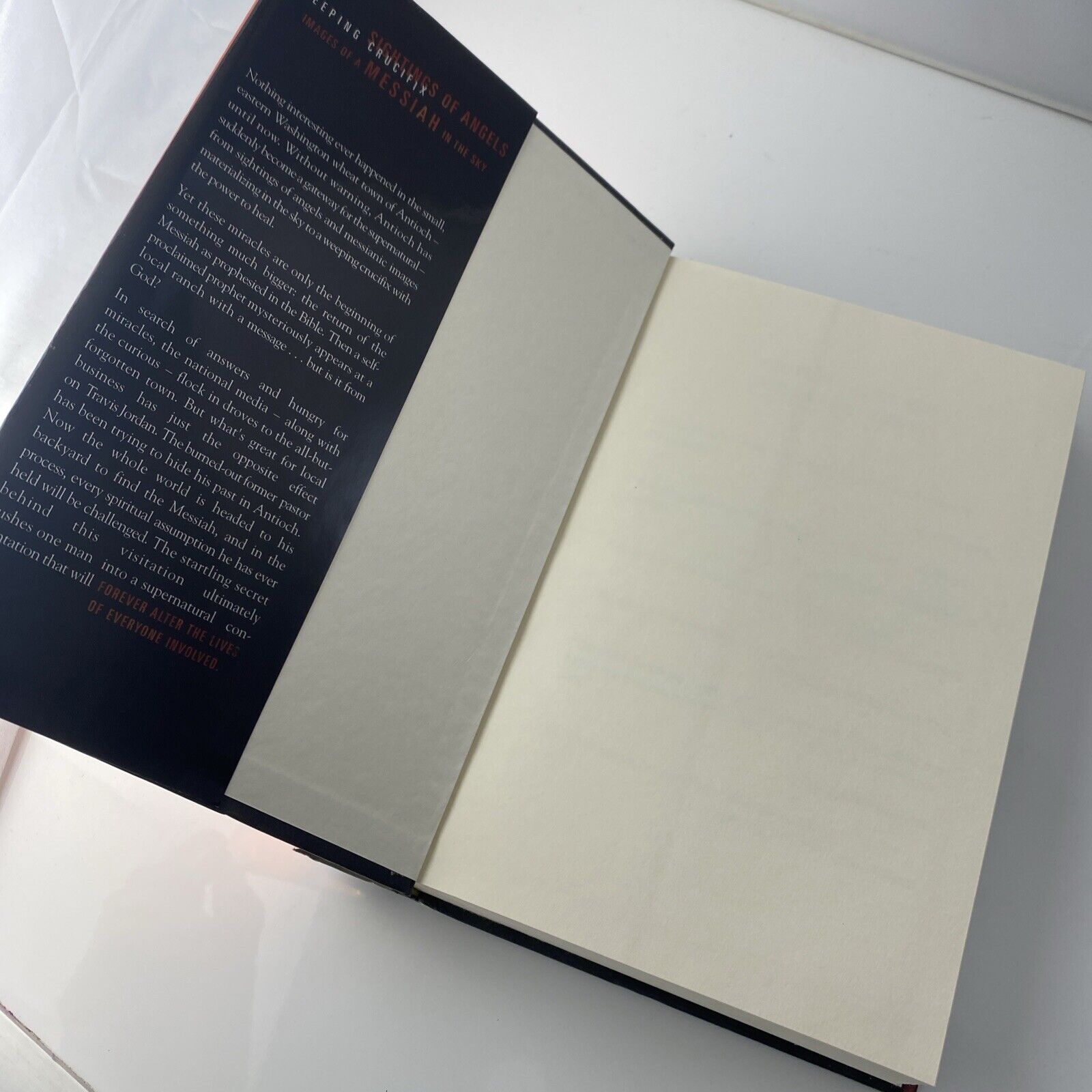 The Visitation by Frank E. Peretti (1999, 1st Edition Hardcover)