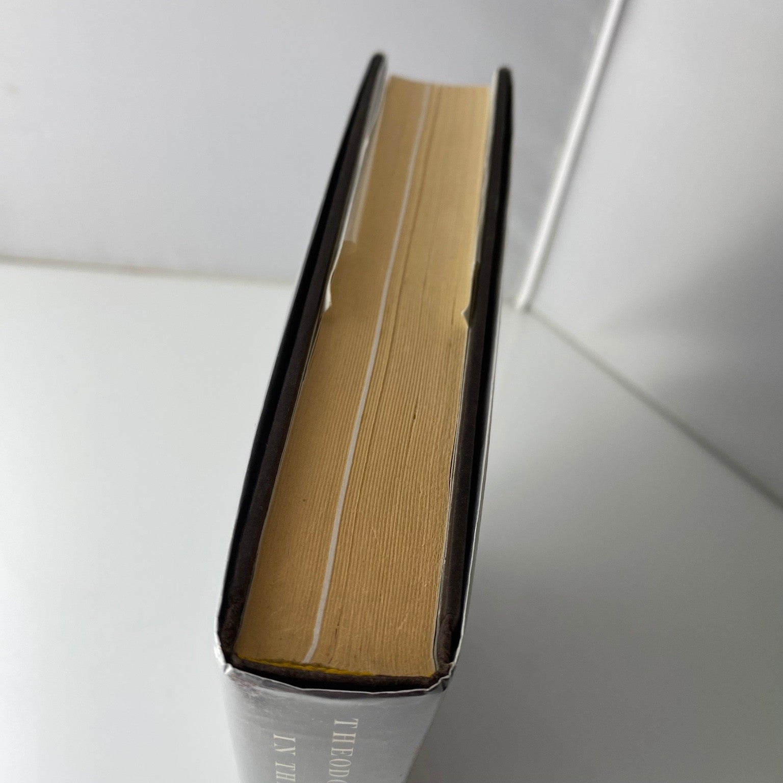 Theodore Roosevelt in the Badlands Roger L. Di Silvestro 2011 First Edition