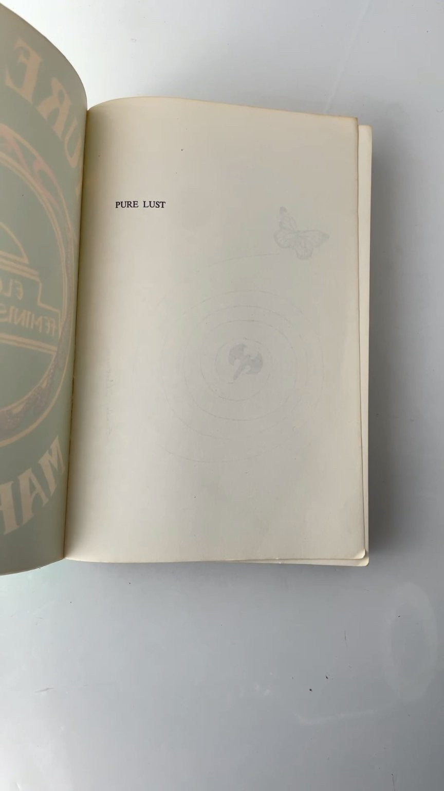 Pure Lust Mary Daly 1984 Elemental Feminist Philosophy Paperback