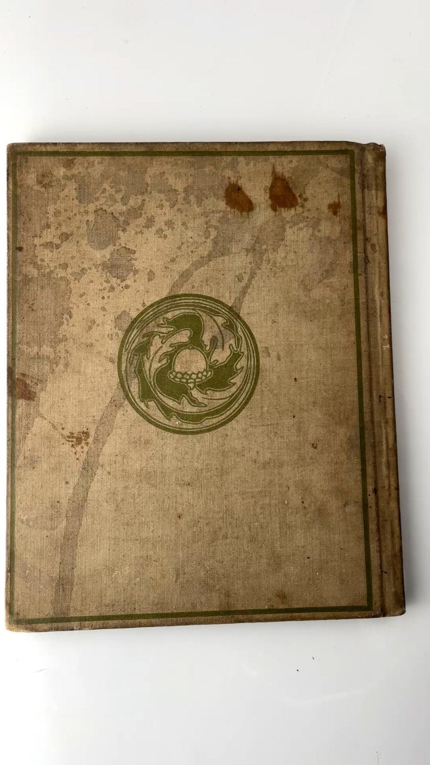 Morton's Elementary Geography by Eliza H. Morton 1900 Illustrated