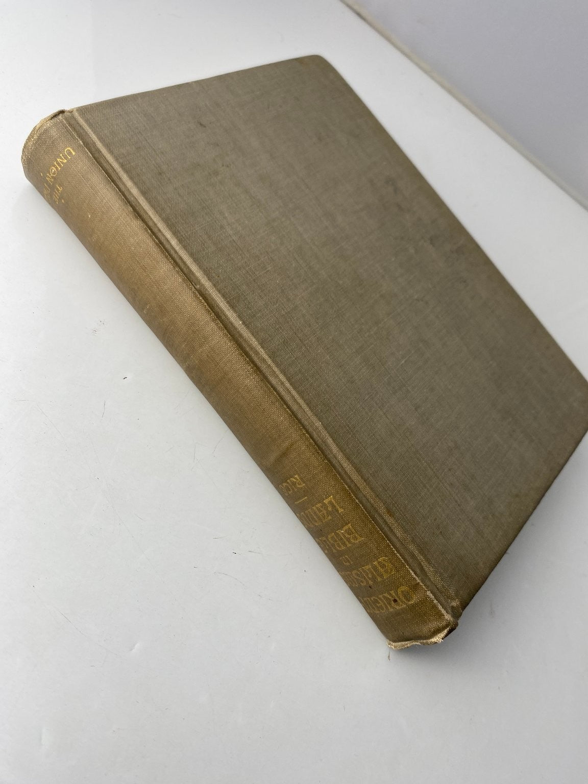 Orientalisms in Bible Lands Edwin Wilbur Rice 1910 First Edition American