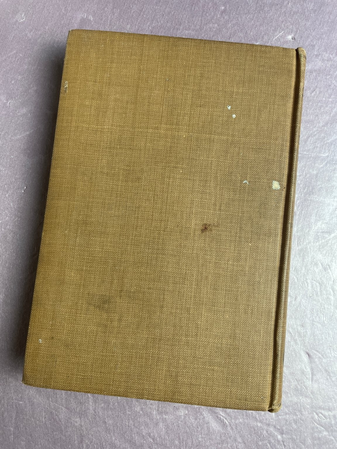 Scientific Cooking Sarah E. Woodworth Craig 1911 Special Edition Cookbook A-B