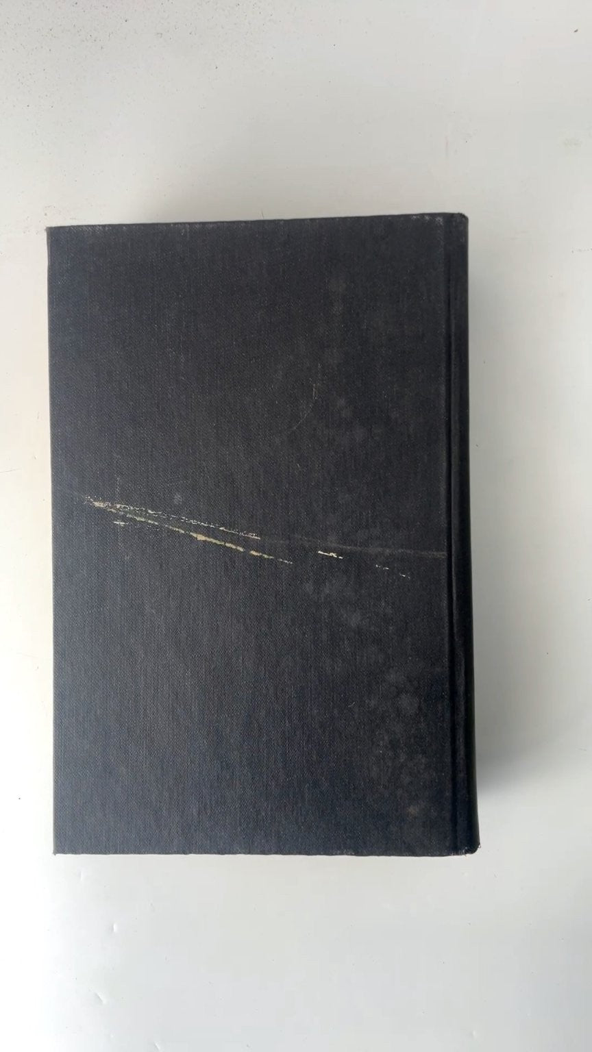 Désirée Annemarie Selinko 1953 William Morrow Illustrated Hardcover