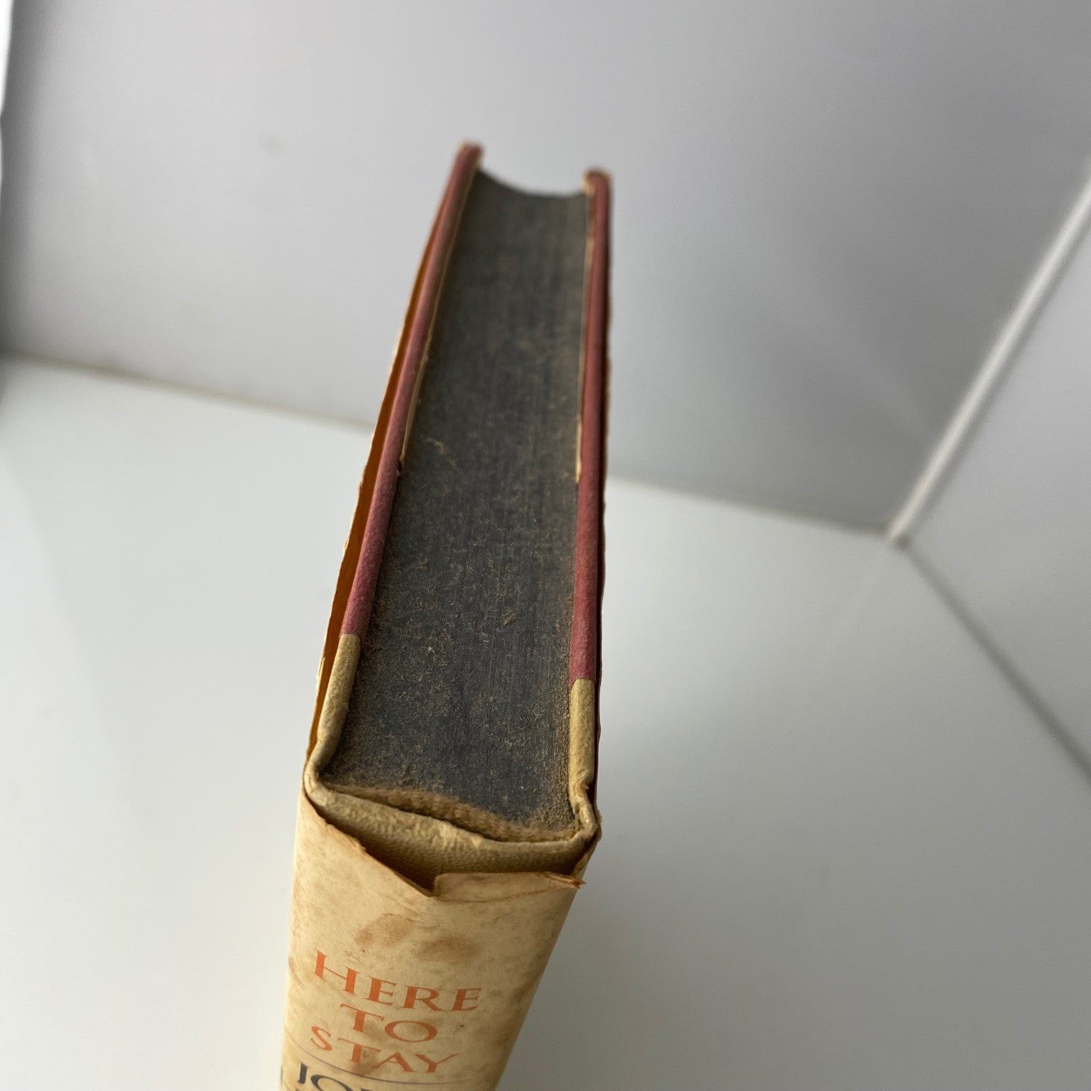 Here to Stay John Hersey 1963 First Edition Studies Human Tenacity Knopf