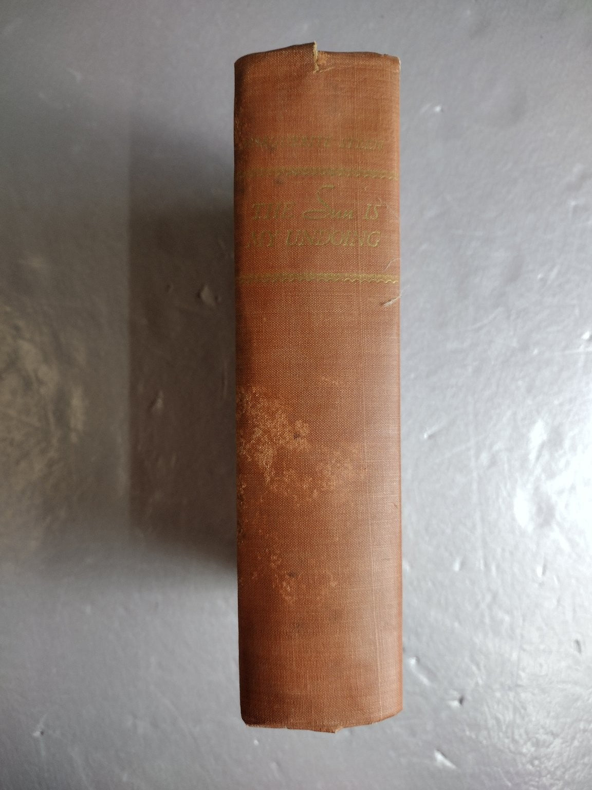 The Sun Is My Undoing Marguerite Steen 1942 Vintage Fiction The Viking Press