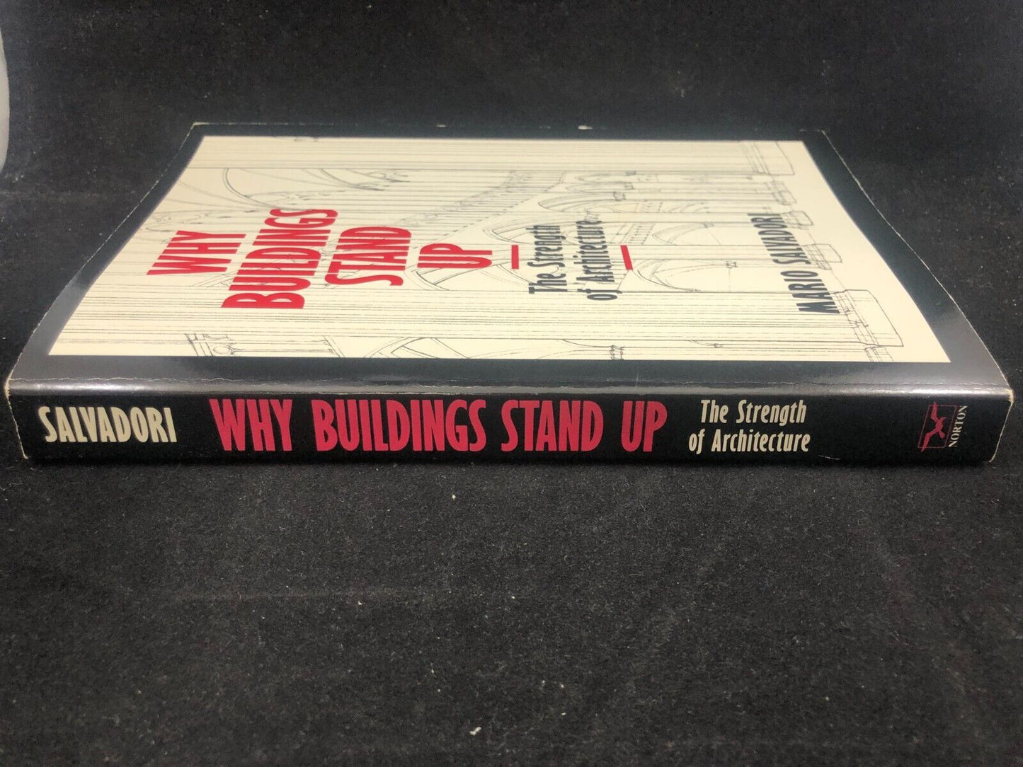 Architecture Why Buildings Stand Up - Paperback By Salvadori, Mario - 1990 ppbk