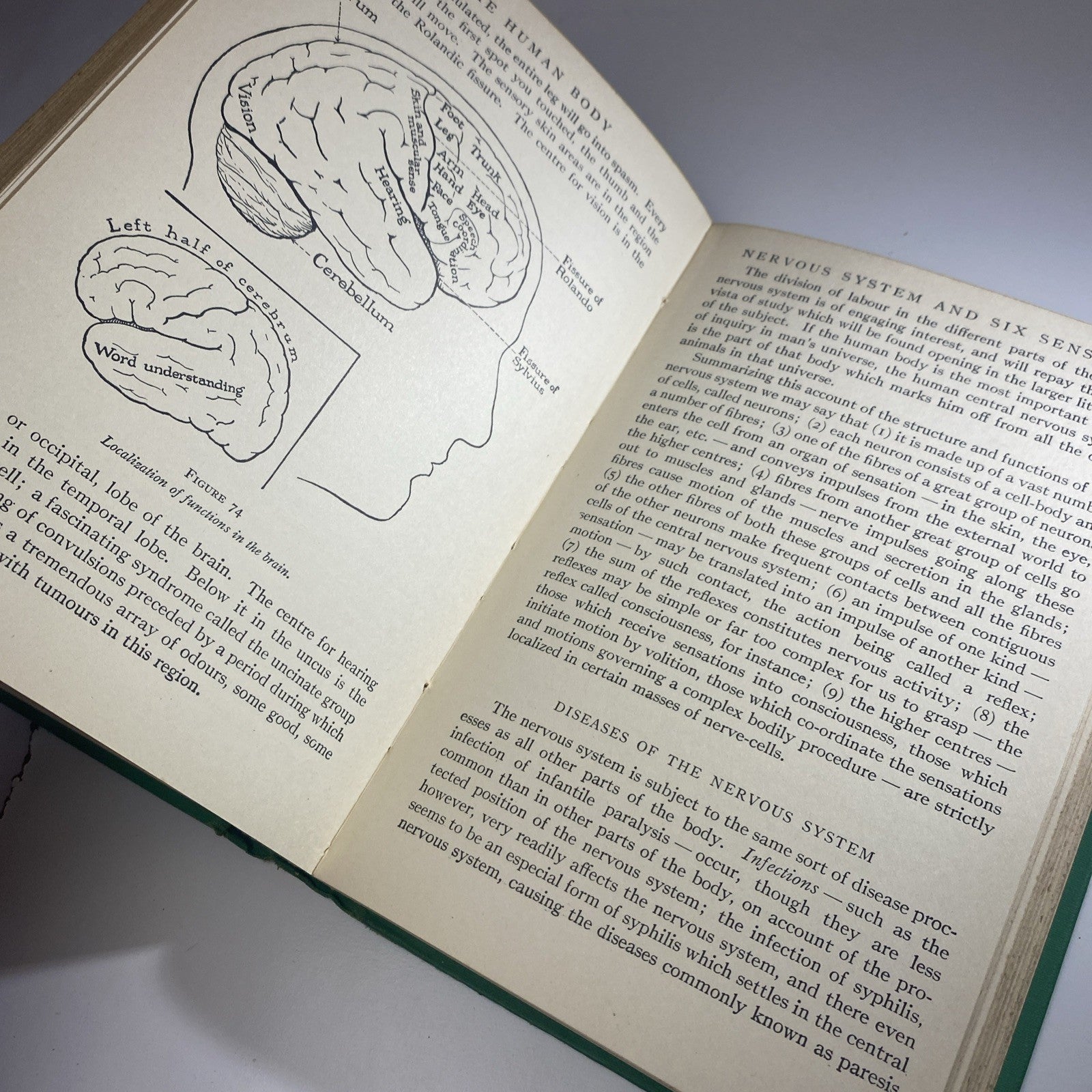 Antique Biology Textbook 1930 - The Human Body - Logan Clendening, M.D. Green