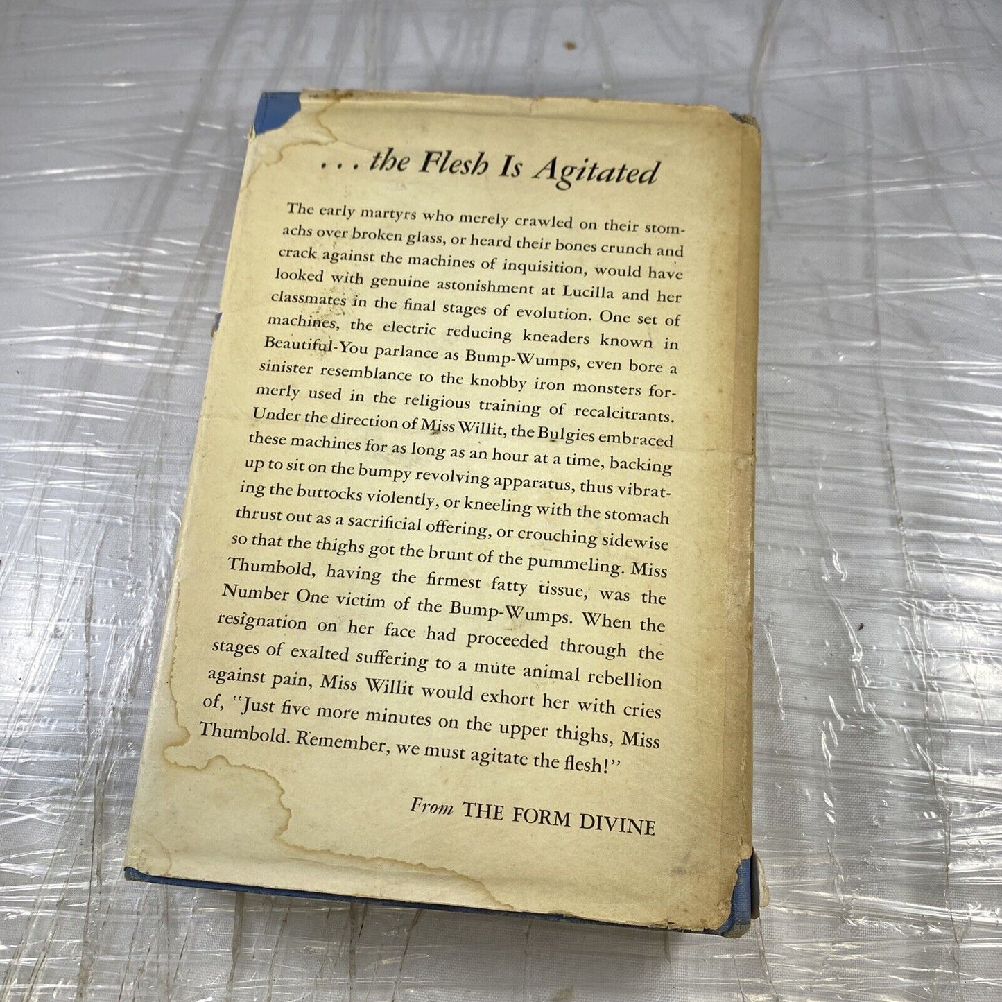 The Form Divine Hilgarde Dolson First Print 1951 Vintage Rare 50s Old Novel