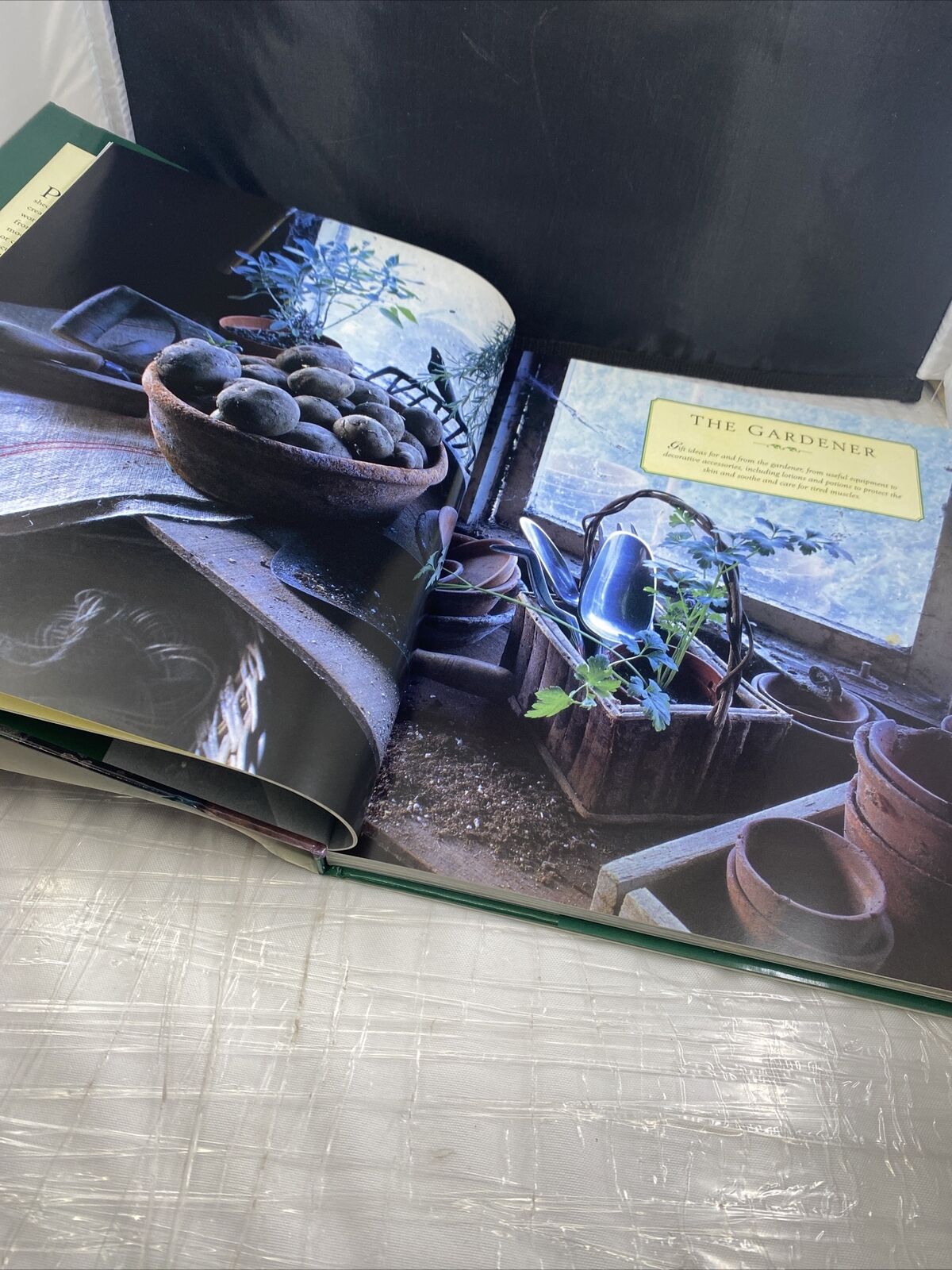 From the Potting Shed by Donaldson, Stephanie Vintage 90s Gardening Picture Book