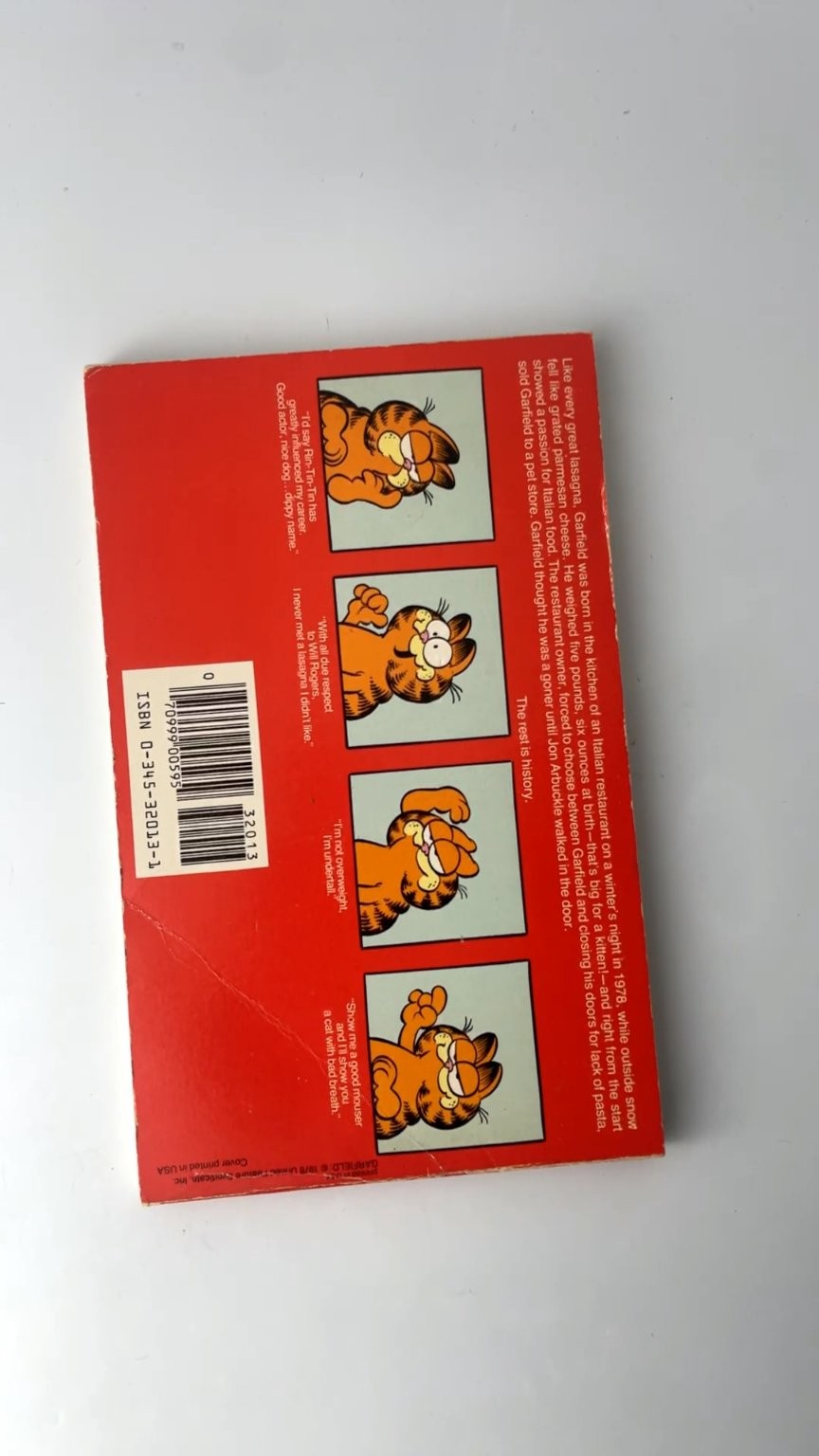 Garfield at Large by Jim Davis First Edition 1980 Illustrated