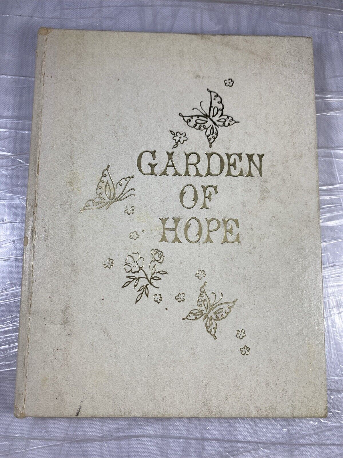 ILLUSTRATED Garden of Hope By Audrey McDaniel Inspirational Verses 1966