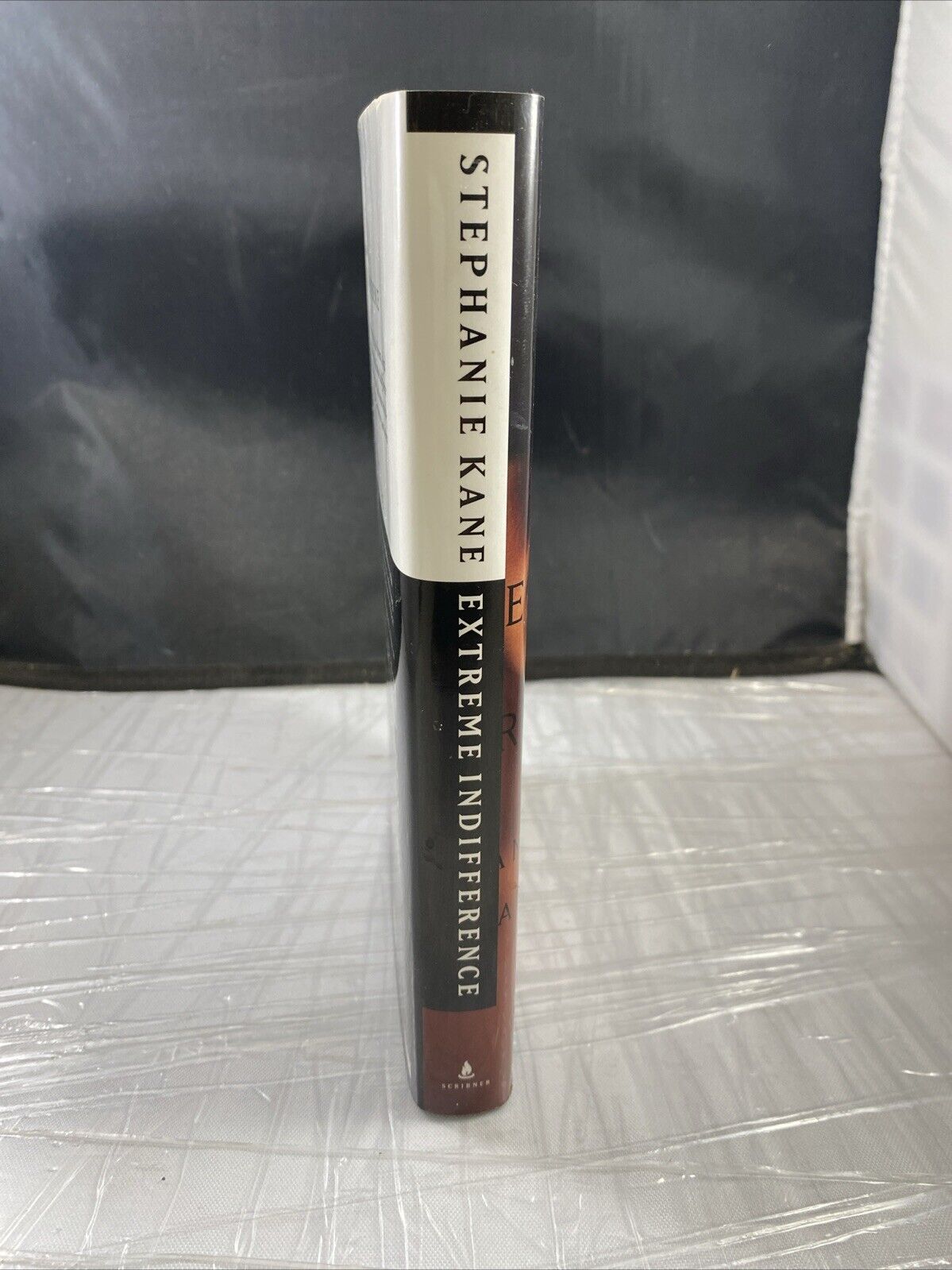 Extreme Indifference : A Crime Novel Hardcover Stephanie Kane VERY GOOD BCE MYST