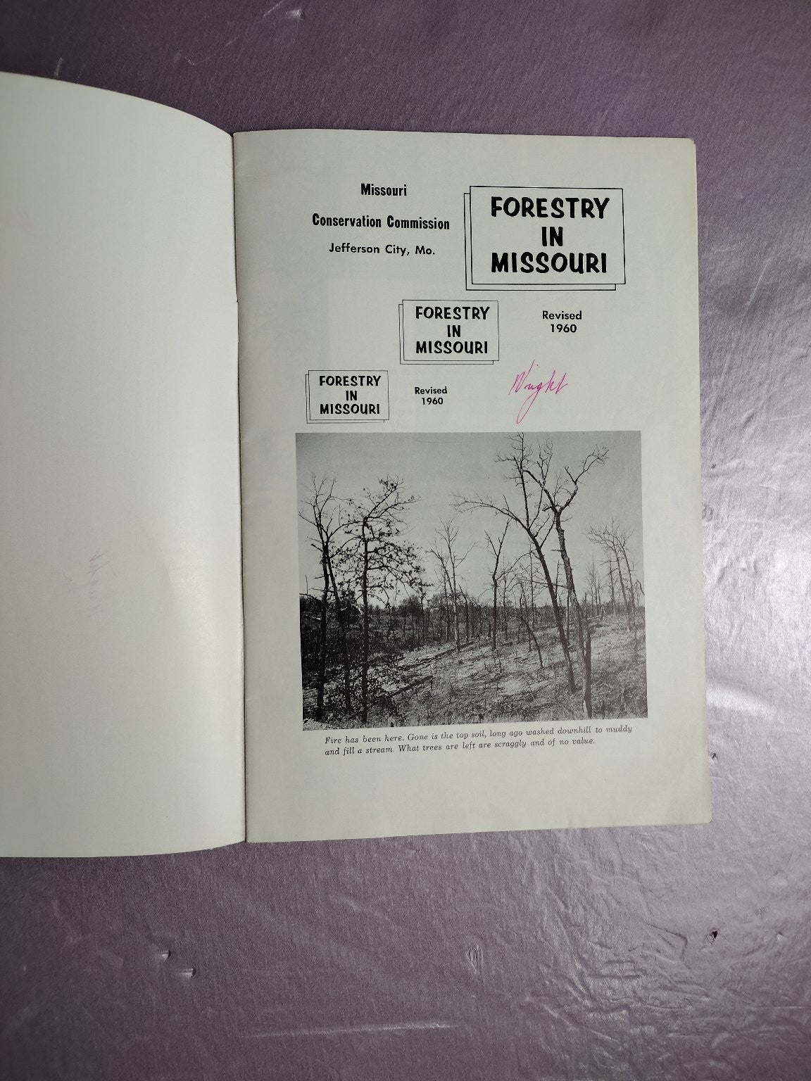 Forestry in Missouri Revised 1960 Missouri Conservation Commission Vintage
