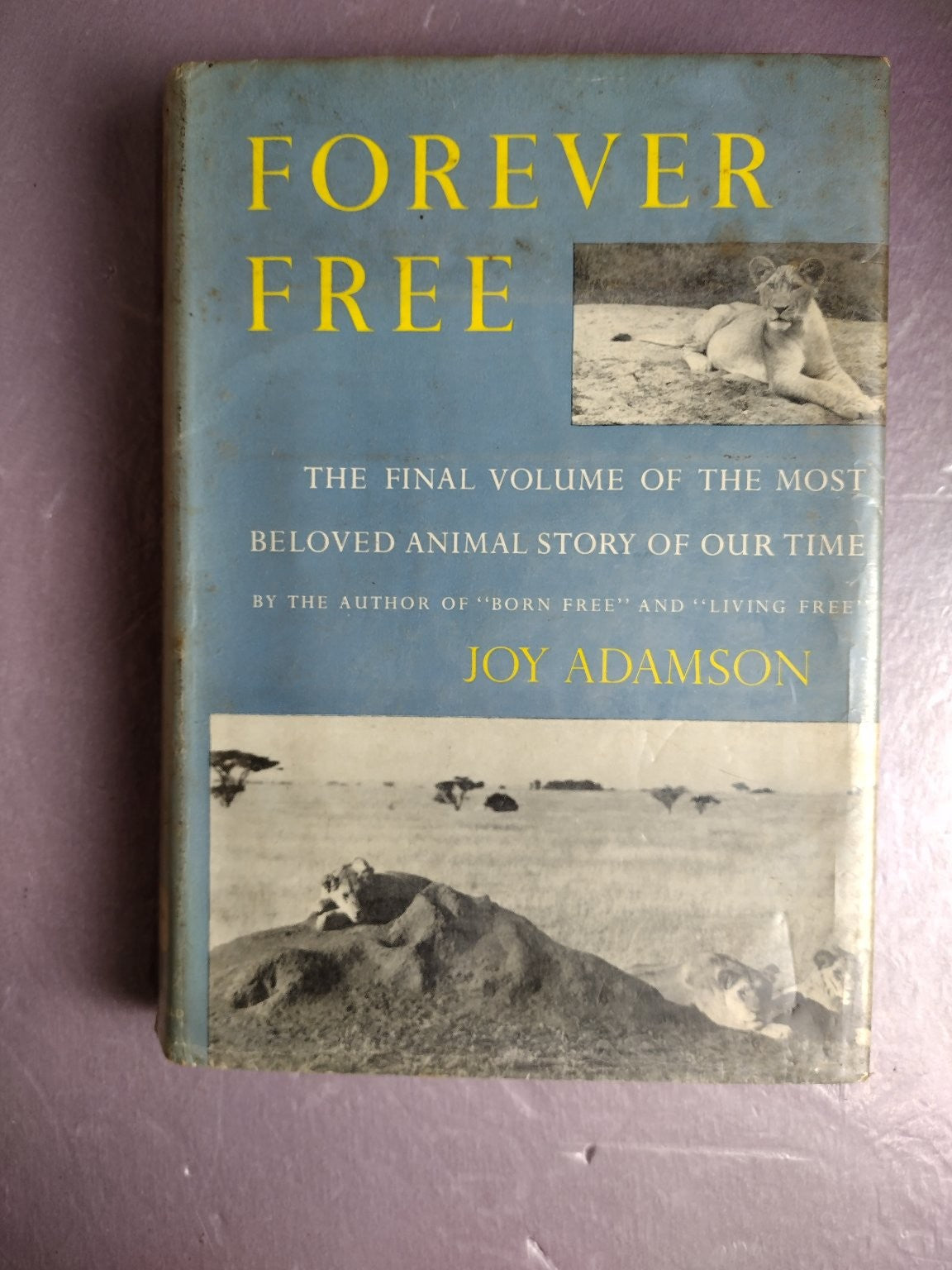 Forever Free Joy Adamson Harcourt Brace World Animal Story Nature Book