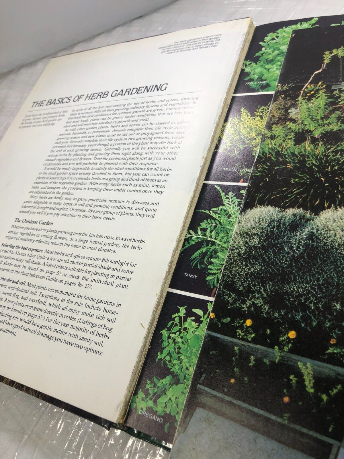Gardening Herbs and Spices (The American Horticultural Society ILLUSTRATED