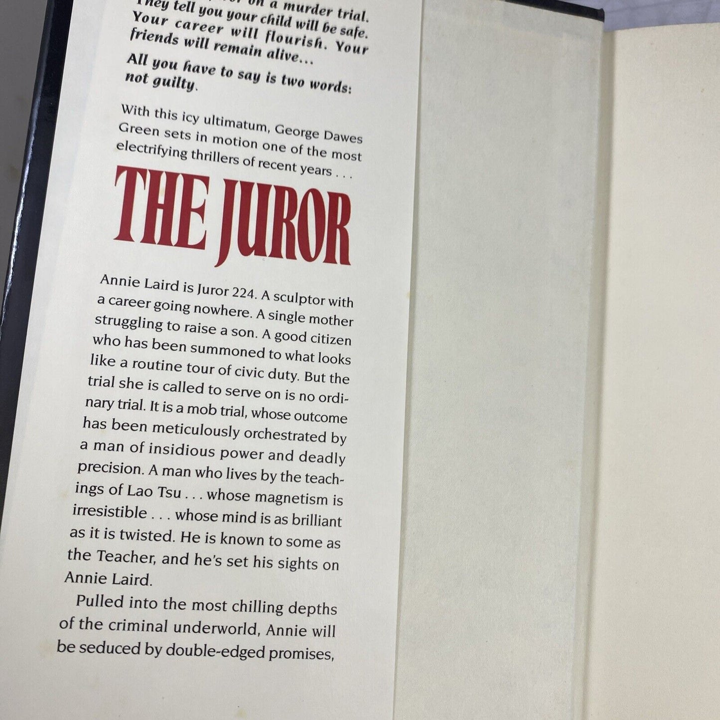 The Juror by George Dawes Green (1995, Hardcover) Warner Books Book Club Ed.