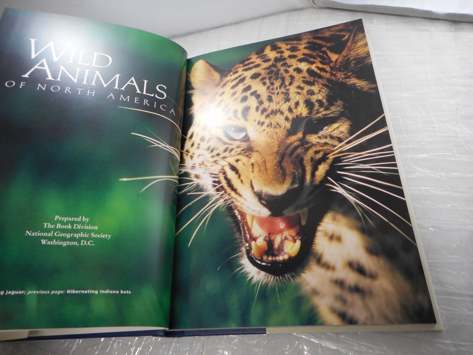 (With Bookplate) National Geographic Wild Animals of North America Hardback 1998