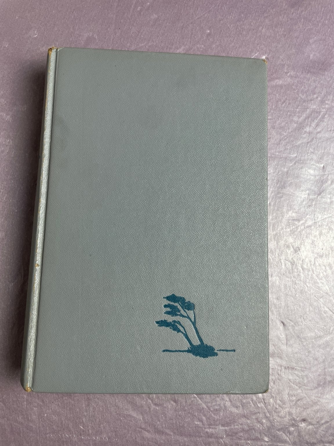The Strumpet Wind Gordon Merrick 1947 First Edition Vintage Fiction William