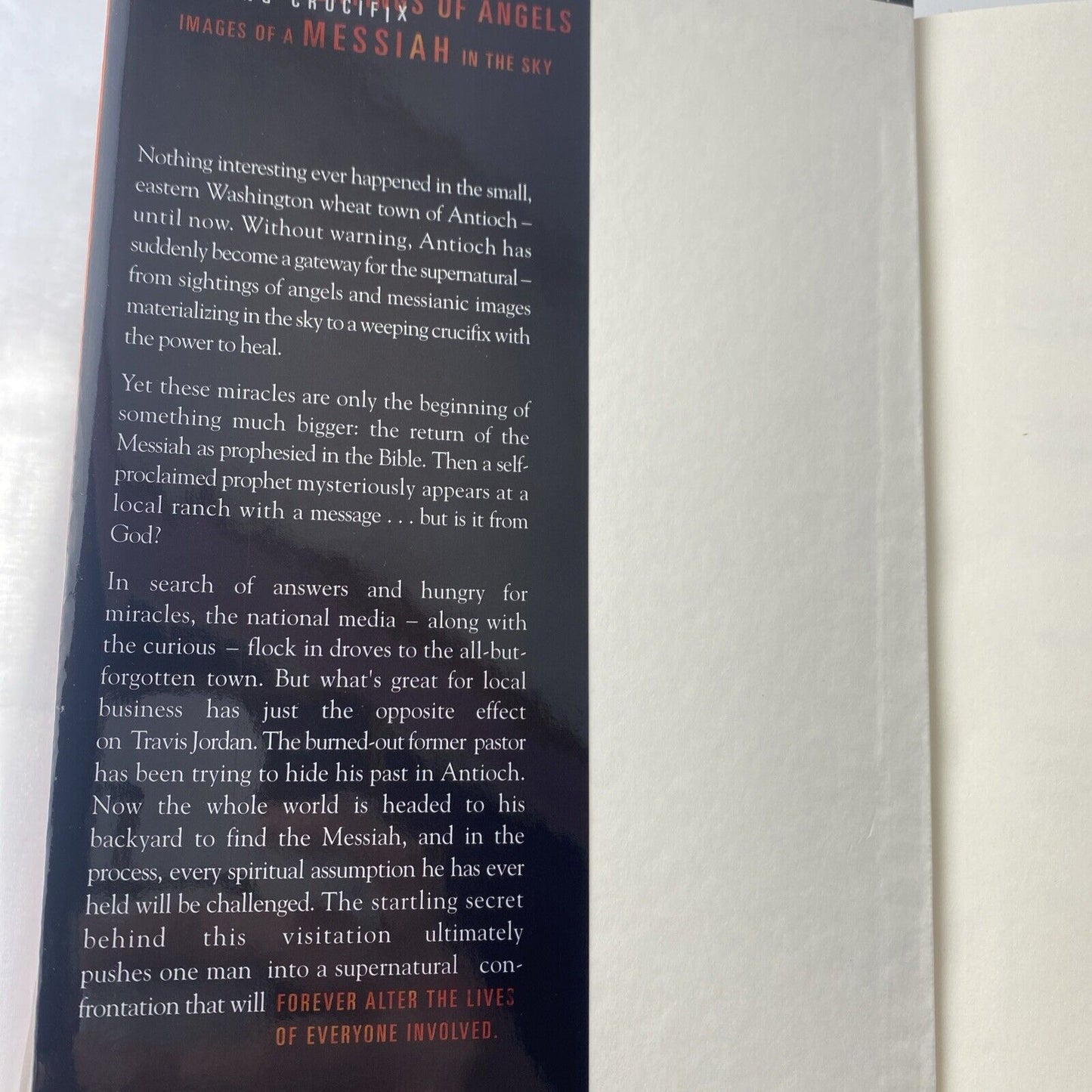 The Visitation by Frank E. Peretti (1999, 1st Edition Hardcover)
