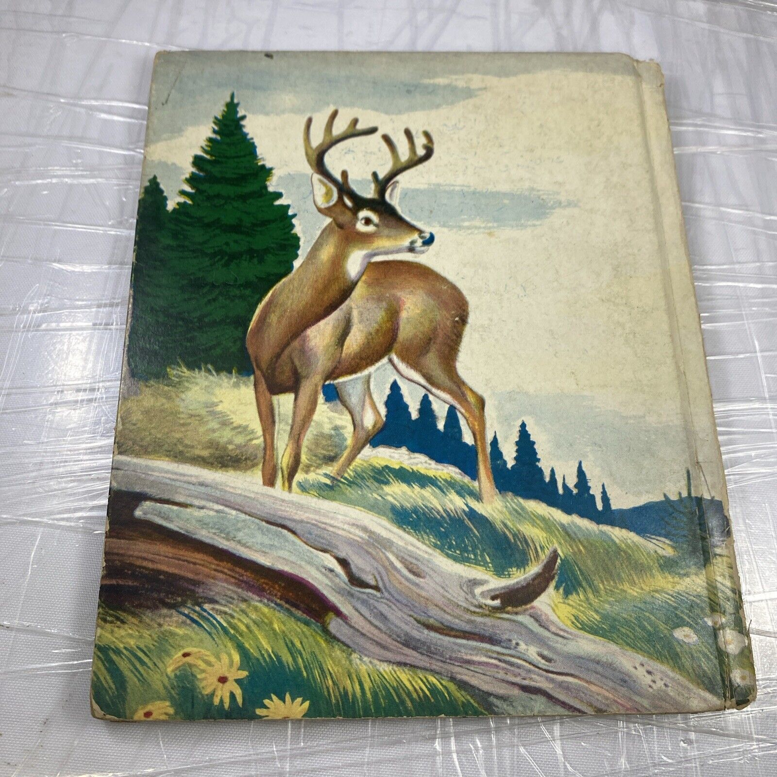 Vintage BAMBI'S CHILDREN Felix Salten BOOK 1948 Good Condition Rare Print