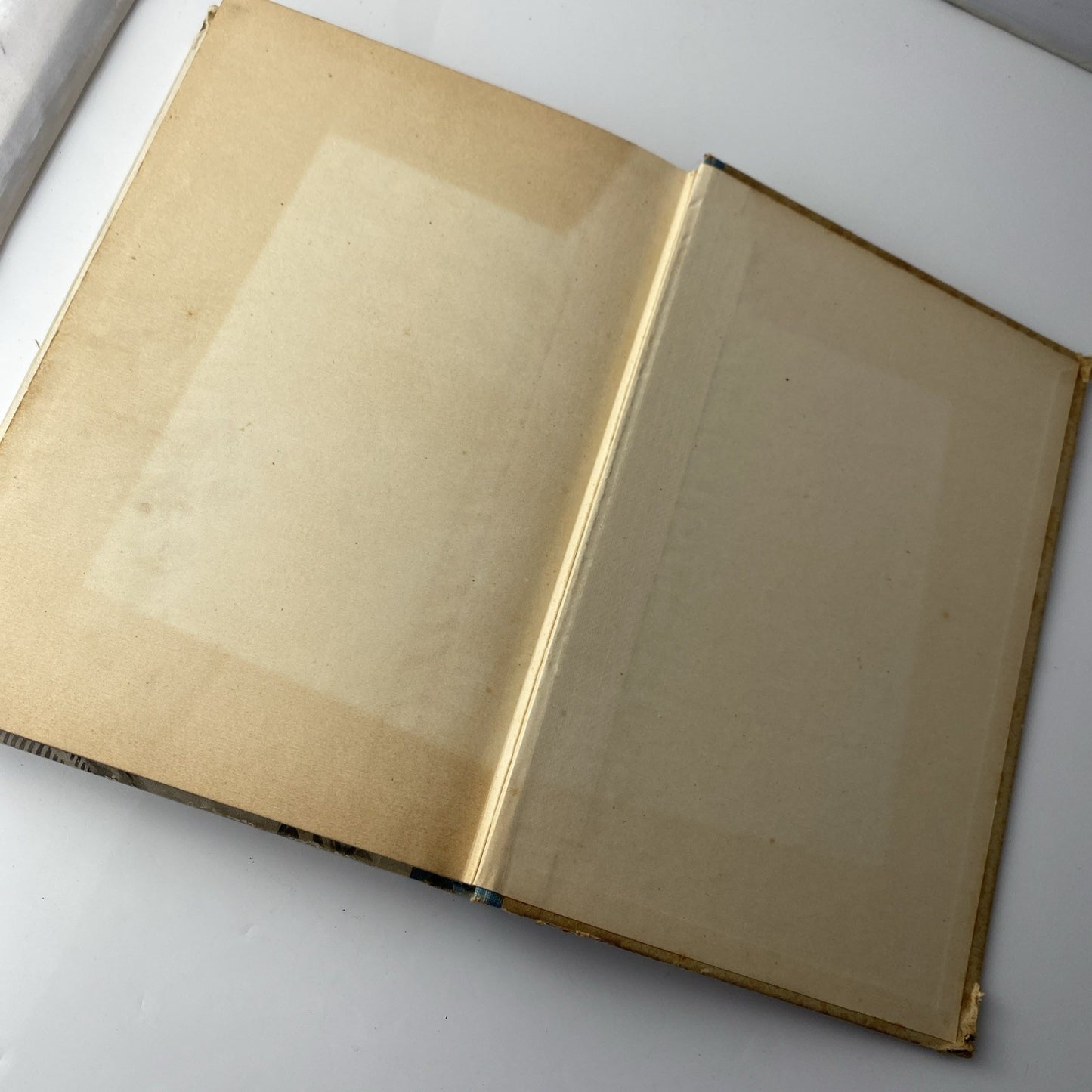 Jack Roostand 1909 Hermann Zagel Rare St Louis Published German Louis Lange