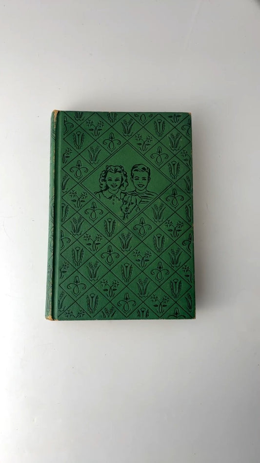 The Bobbsey Twins at the County Fair Laura Lee Hope 1922 Grosset & Dunlap