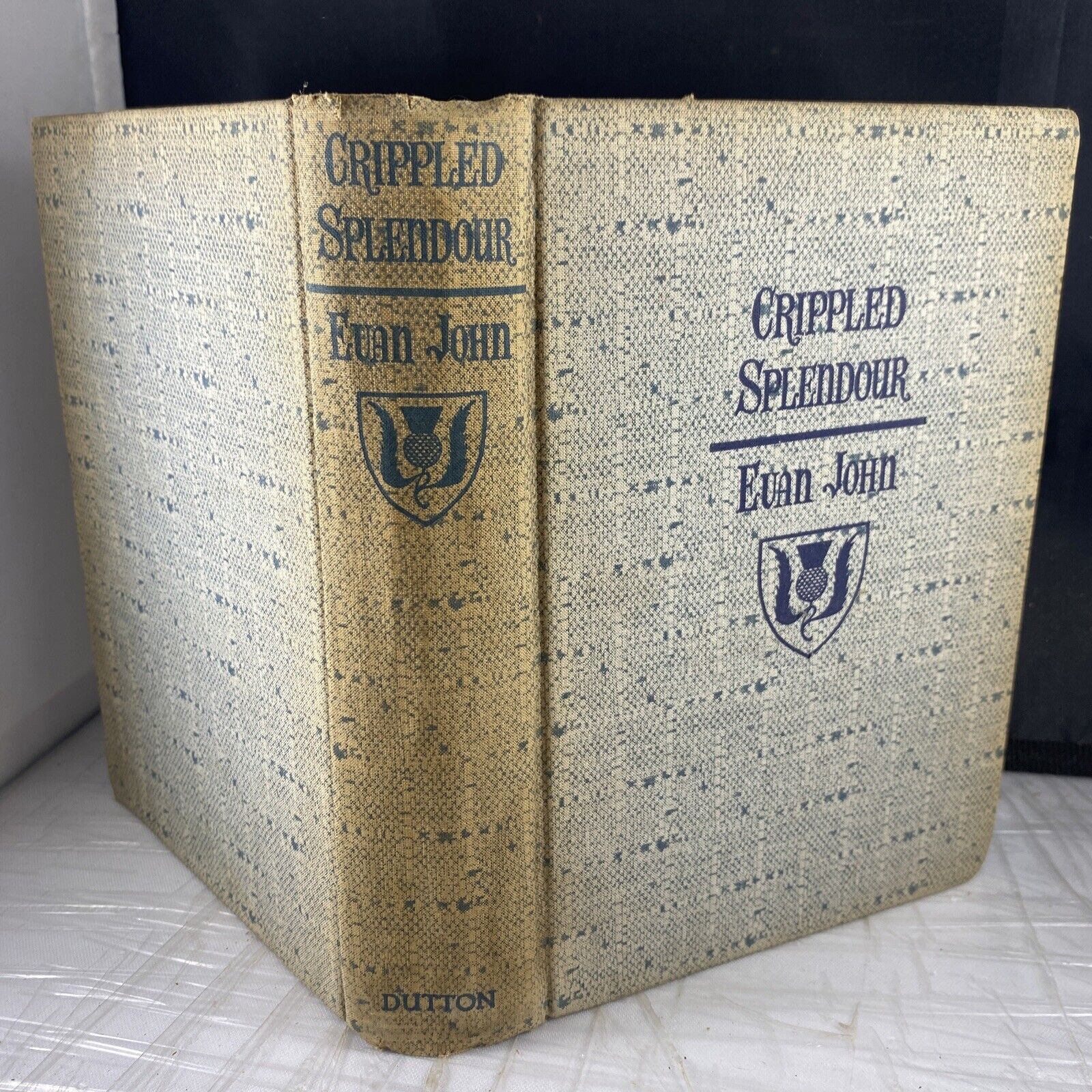 Crippled Splendour Evan John 1938 Historical Fiction Vintage Hardcover Rare