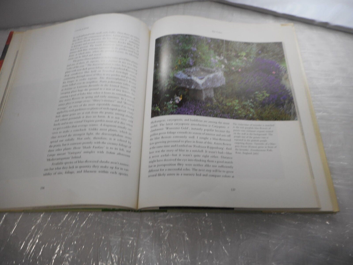 Color EchoesHarmonzing Color in the Garden Pamela J. Harper AB128 Library book