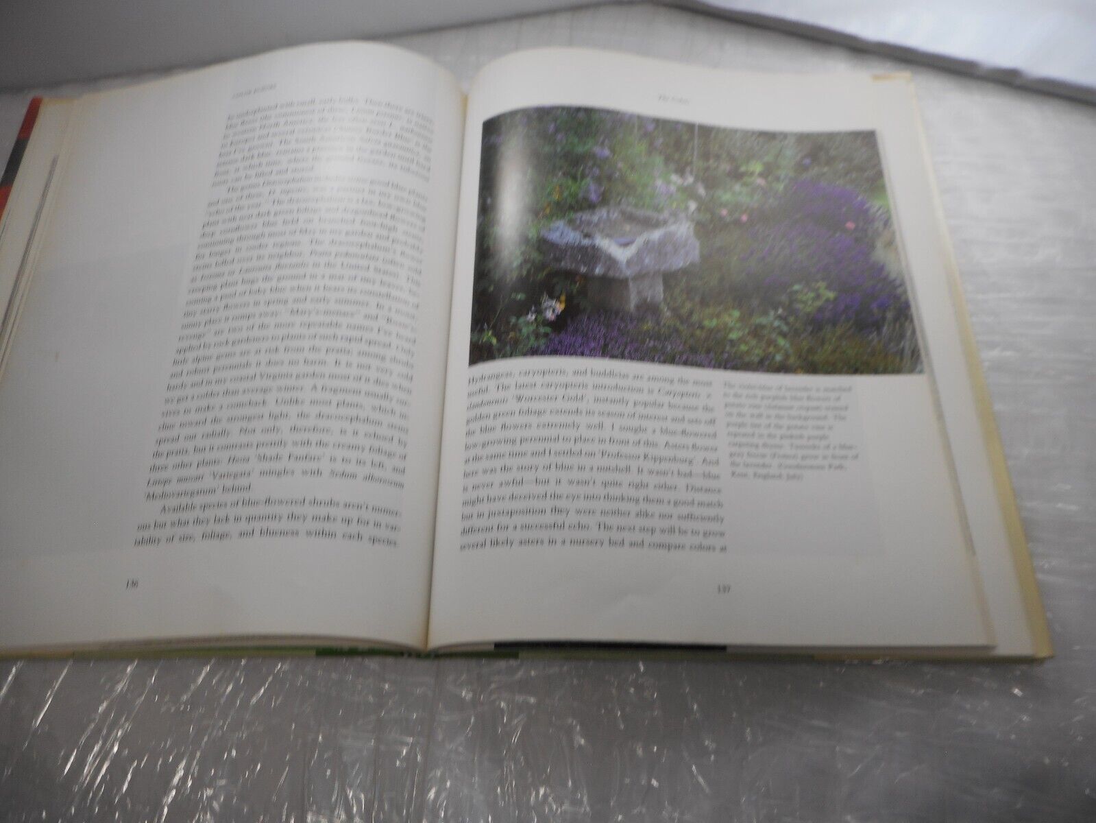 Color EchoesHarmonzing Color in the Garden Pamela J. Harper AB128 Library book