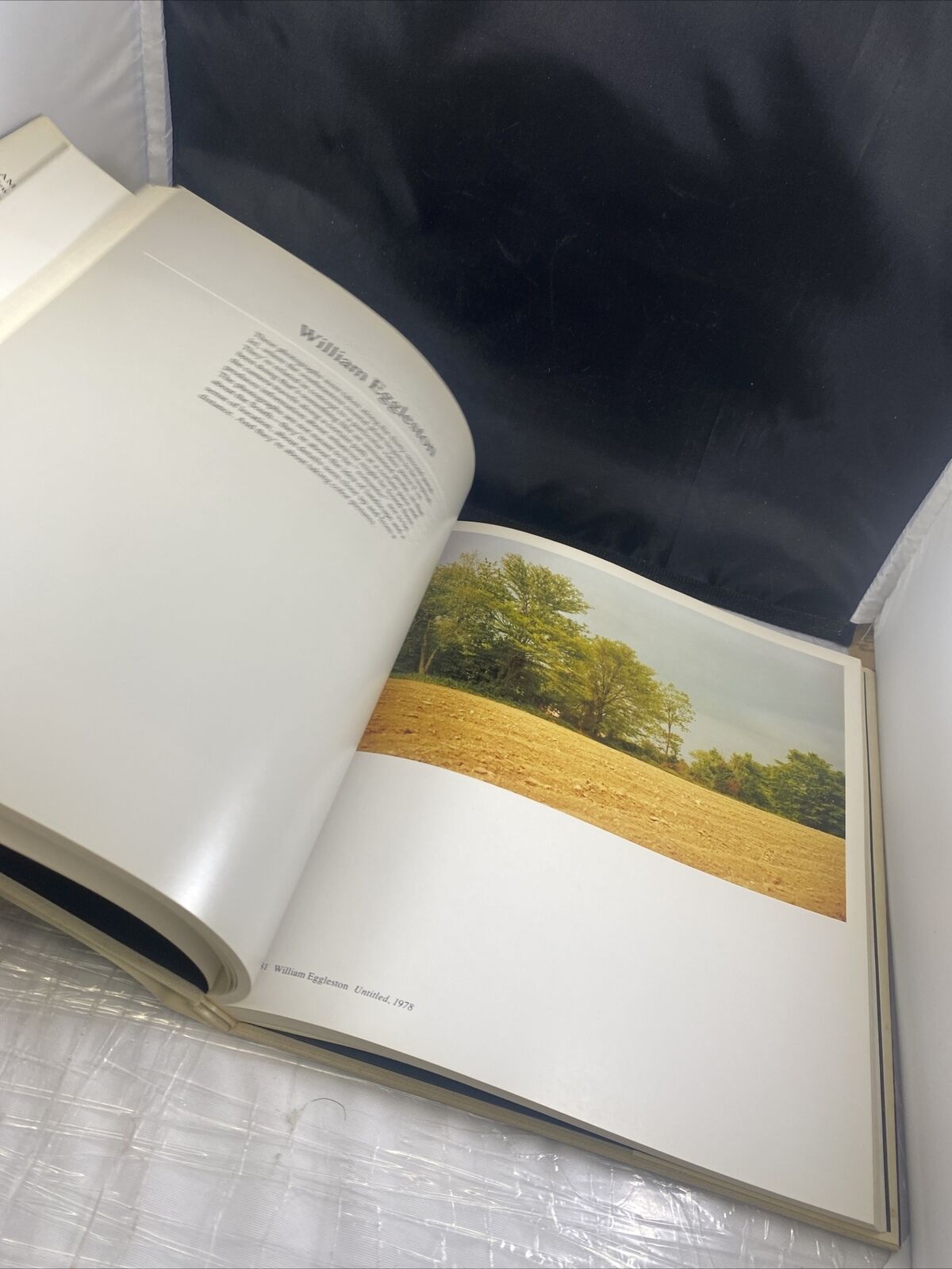 AMERICAN IMAGES by Renato Danese Vintage 70s Photography Textbook McGraw Hill